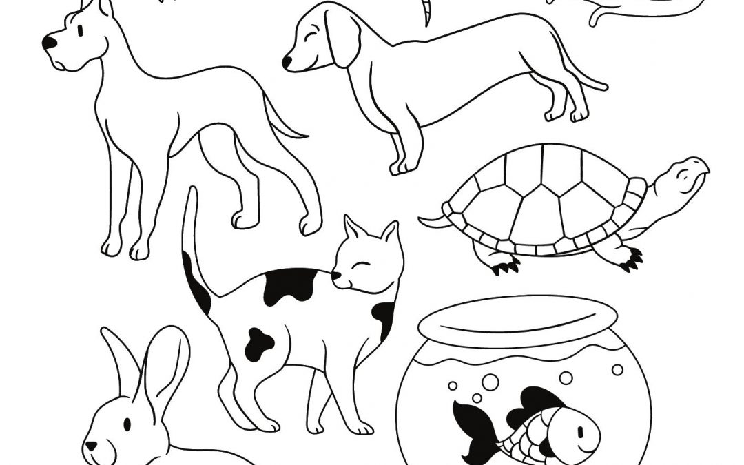Free Printable Coloring Pages Pets
