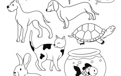 Just For Fun! A Pet Coloring Sheet