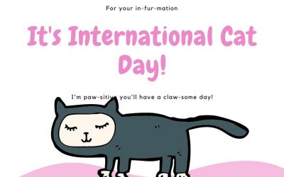 It’s International Cat Day!