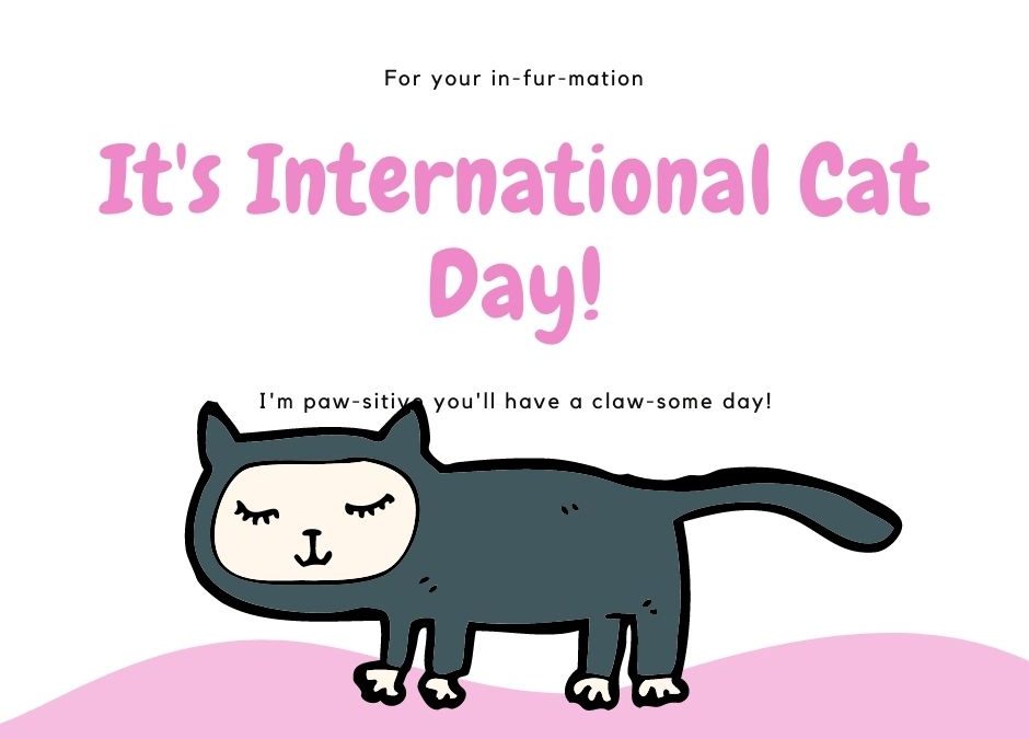 It’s International Cat Day!